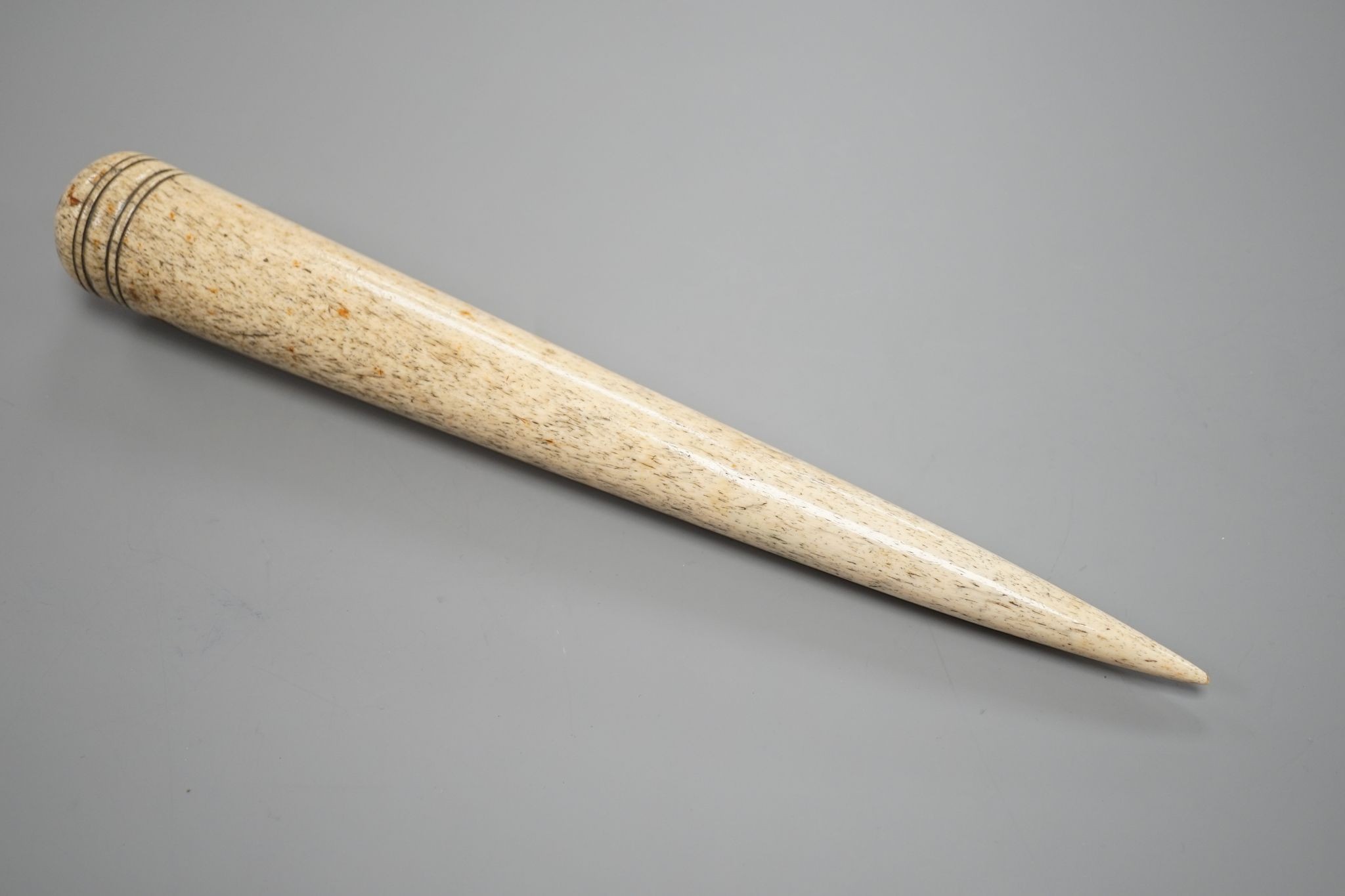 A 19th century Whalebone fid, 31 cms long.